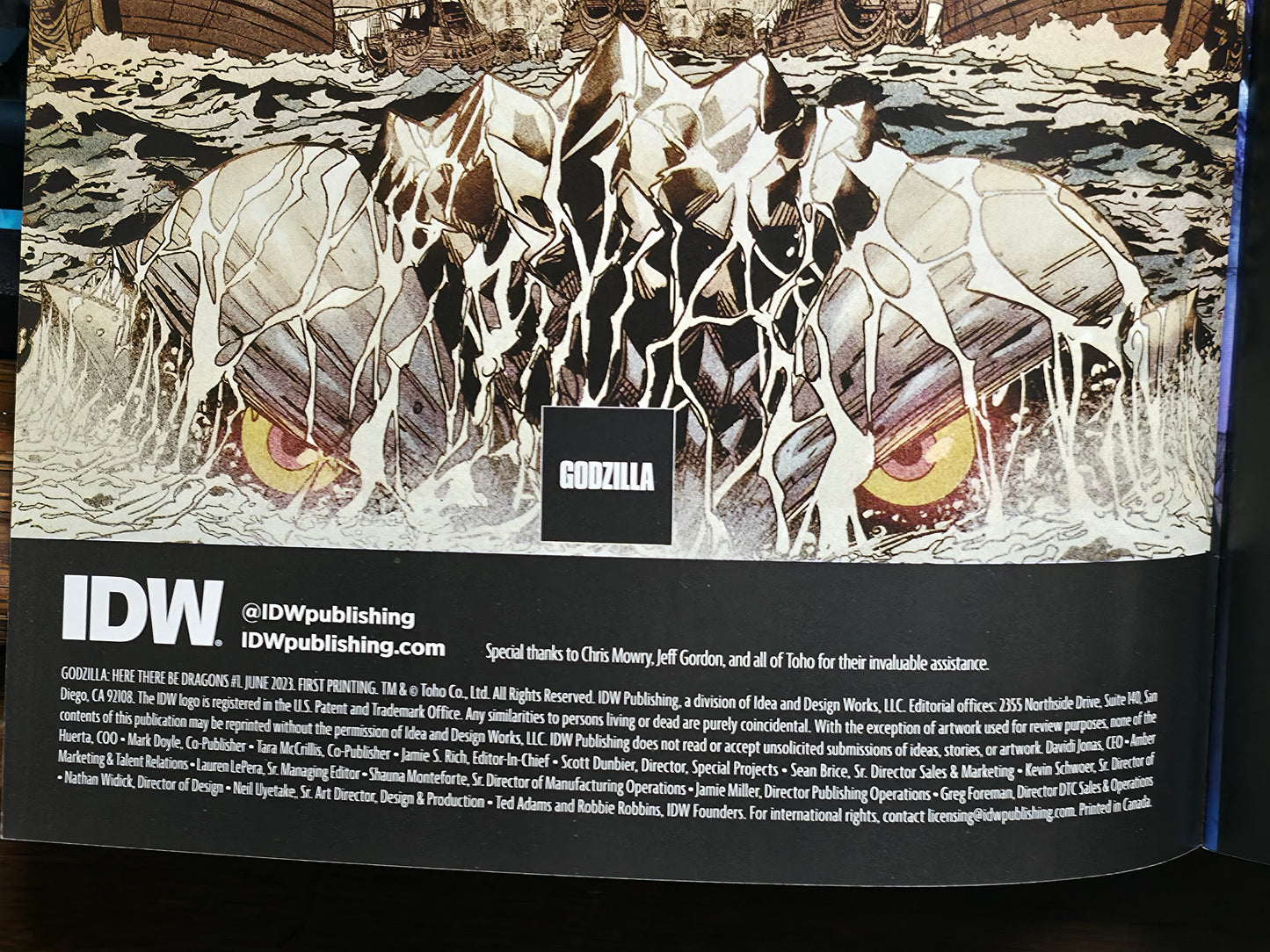 Godzilla Here There Be Dragons #1 Retailer Incentive 1:25 Variant Cover Benjamin Dewey NEAR MINT IDW