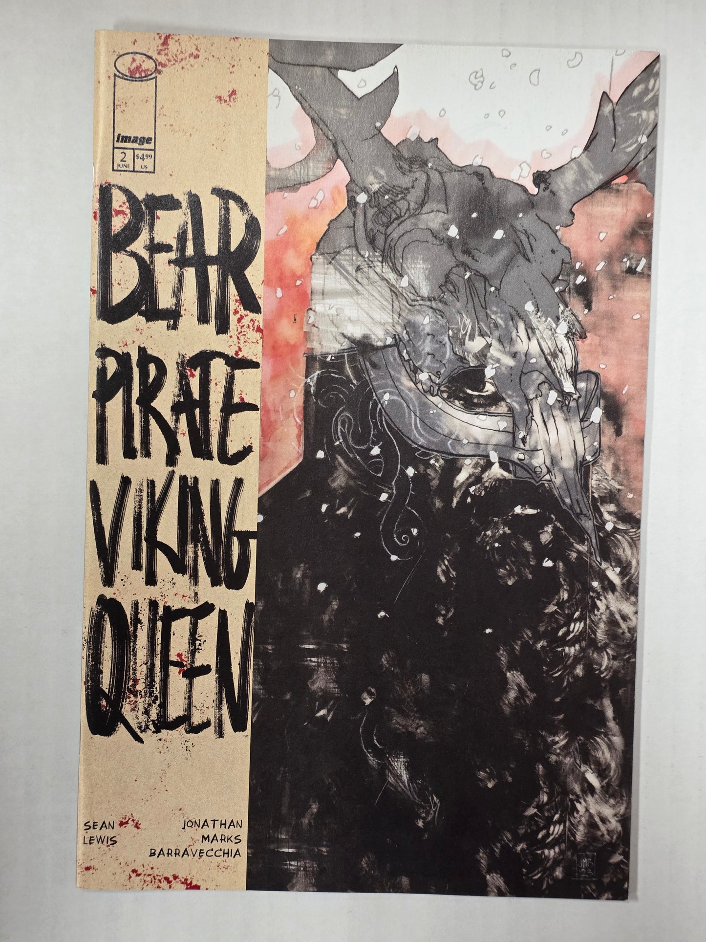 Bear Pirate Viking Queen #2 First Print NEAR MINT Image Comics