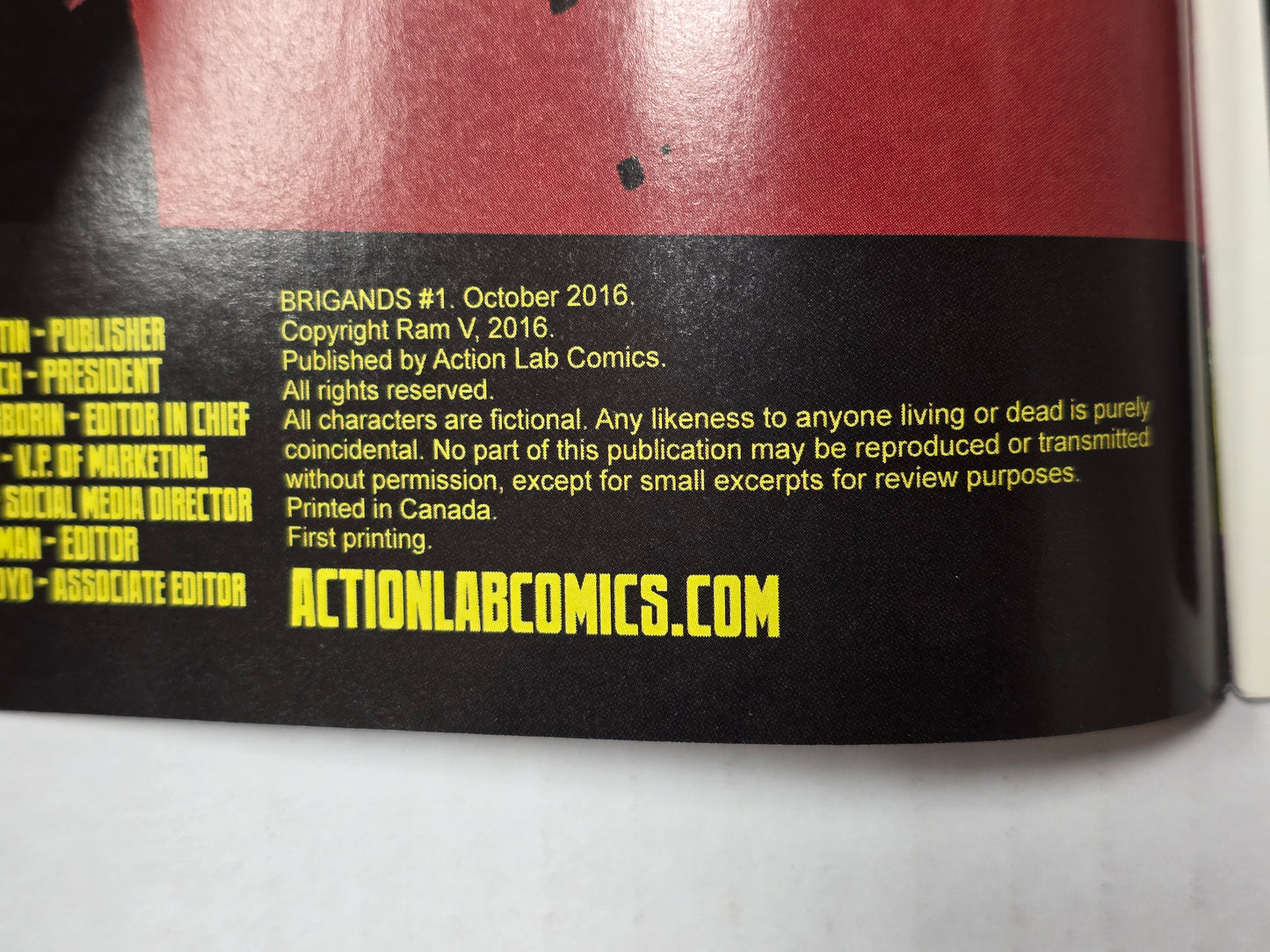 Brigands #1 Limited Edition Variant Anand Radhakrishnan First Print NEAR MINT Action Lab Danger Zone LIMITED TO 1500