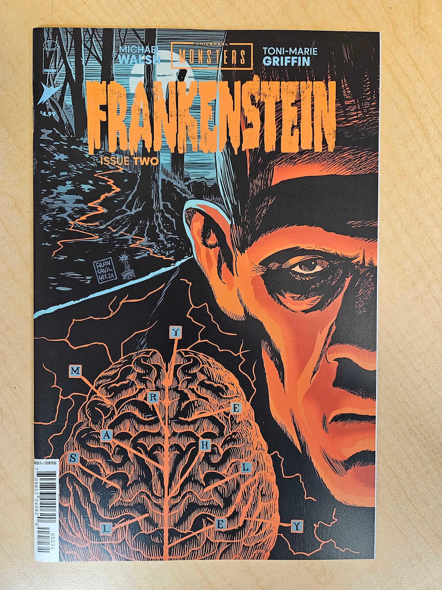 Frankenstein Universal Monsters #2 Cover C Francesco Francavilla 2024 IMAGE COMICS