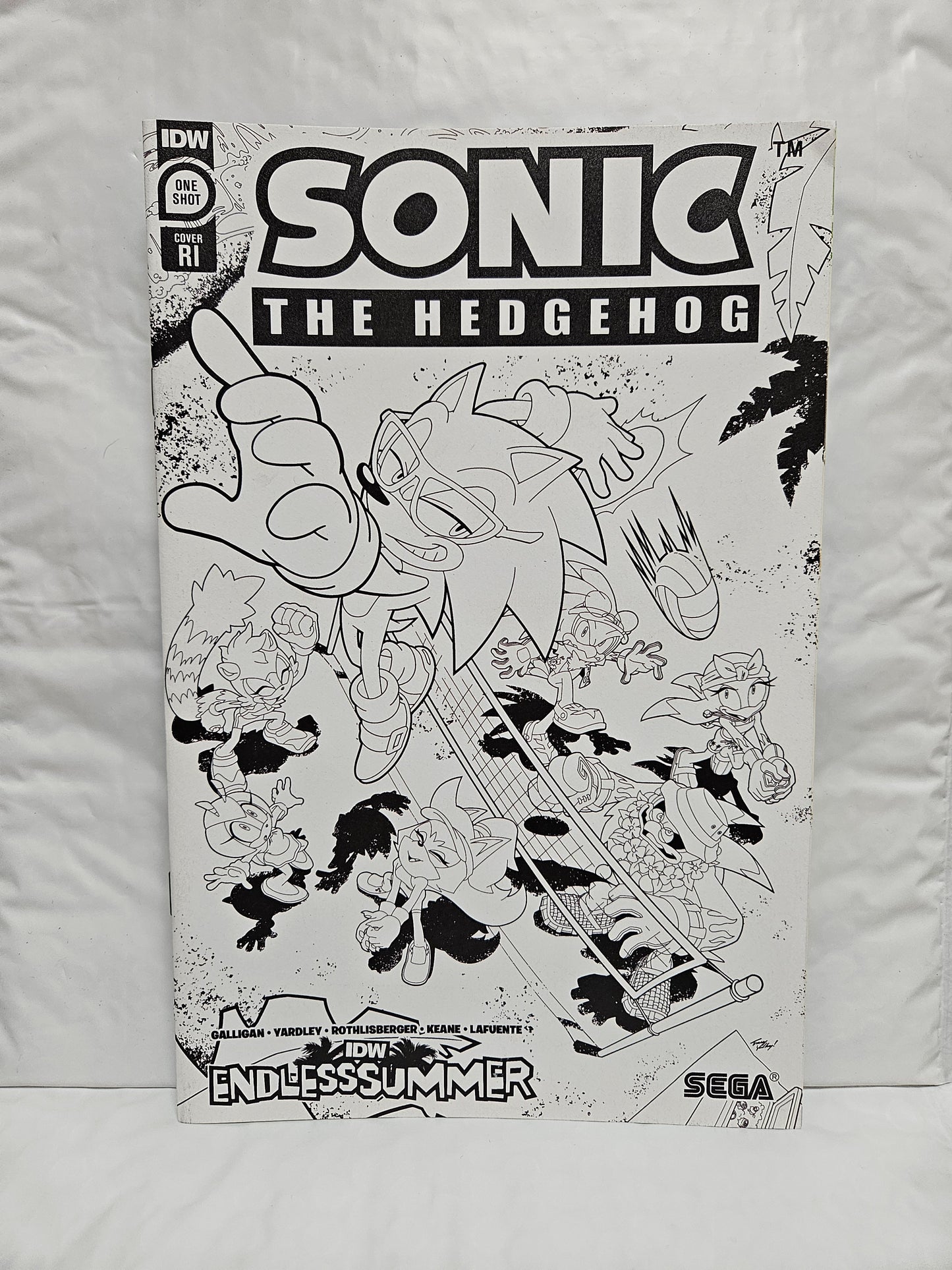 Sonic The Hedgehog: Endless Summer #1 (One Shot) Cover RI IDW