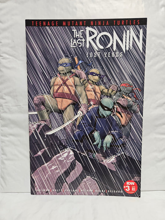 Teenage Mutant Ninja Turtles: The Lost Ronin - The Lost Years #3 Cover RI