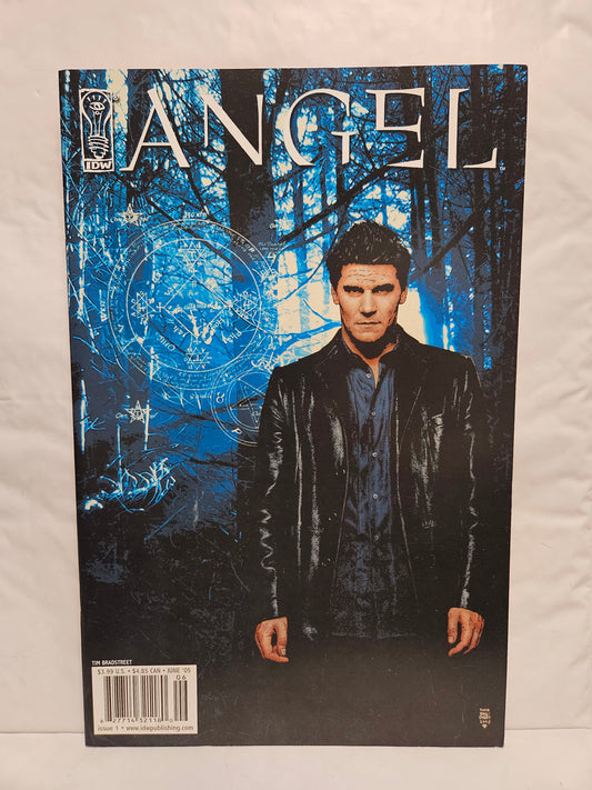 Angel: The Curse #1 2005 Second Printing IDW